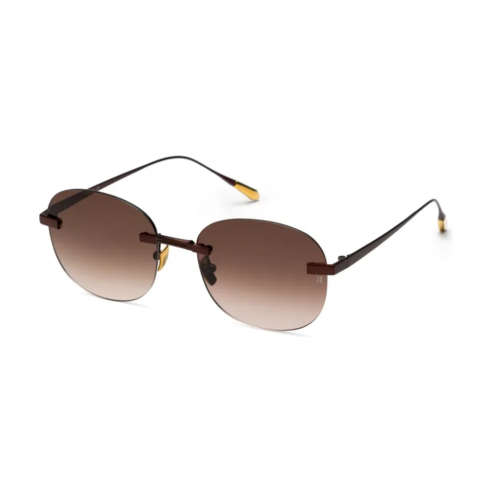 Titanium Brown Frame Brown Lens Sunglasses with Carl Zeiss Vision