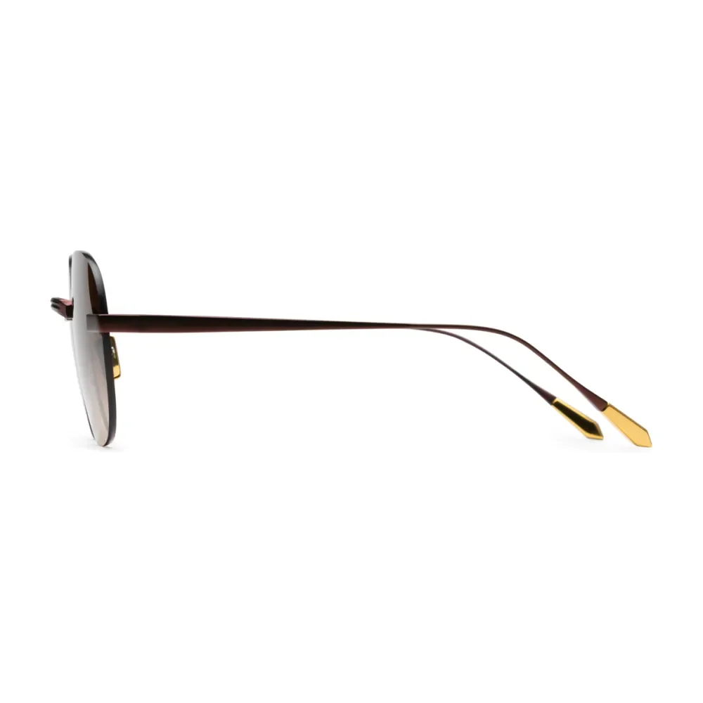 Titanium Brown Frame Brown Lens Sunglasses with Carl Zeiss Vision