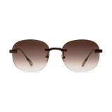 Titanium Brown Frame Brown Lens Sunglasses with Carl Zeiss Vision