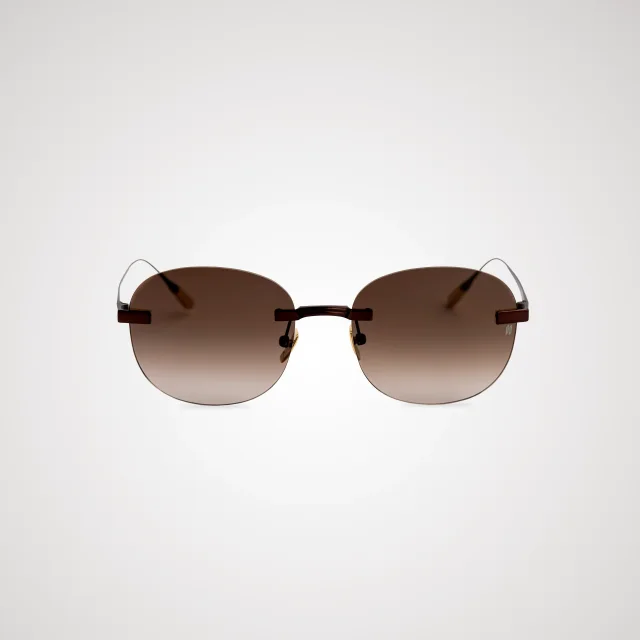 Titanium Brown Frame Brown Lens Sunglasses with Carl Zeiss Vision