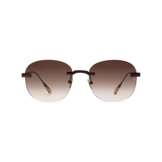 Titanium Brown Frame Brown Lens Sunglasses with Carl Zeiss Vision