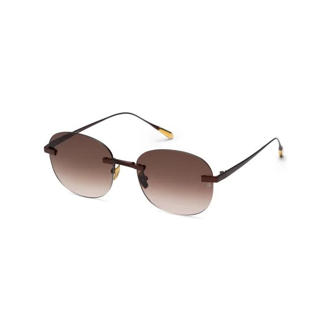 Titanium Brown Frame Brown Lens Sunglasses with Carl Zeiss Vision