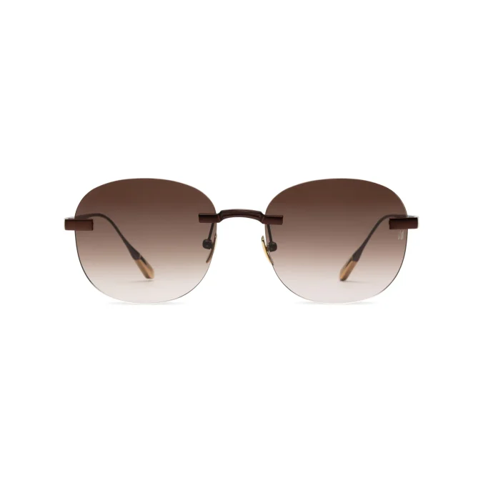 Titanium Brown Frame Brown Lens Sunglasses with Carl Zeiss Vision