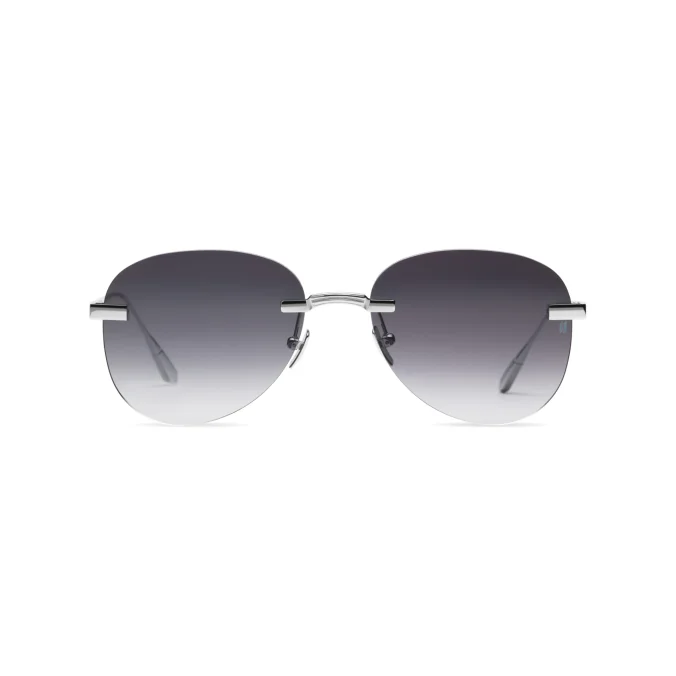 Titanium Silver Frame Grey Lens Sunglasses with Carl Zeiss Vision