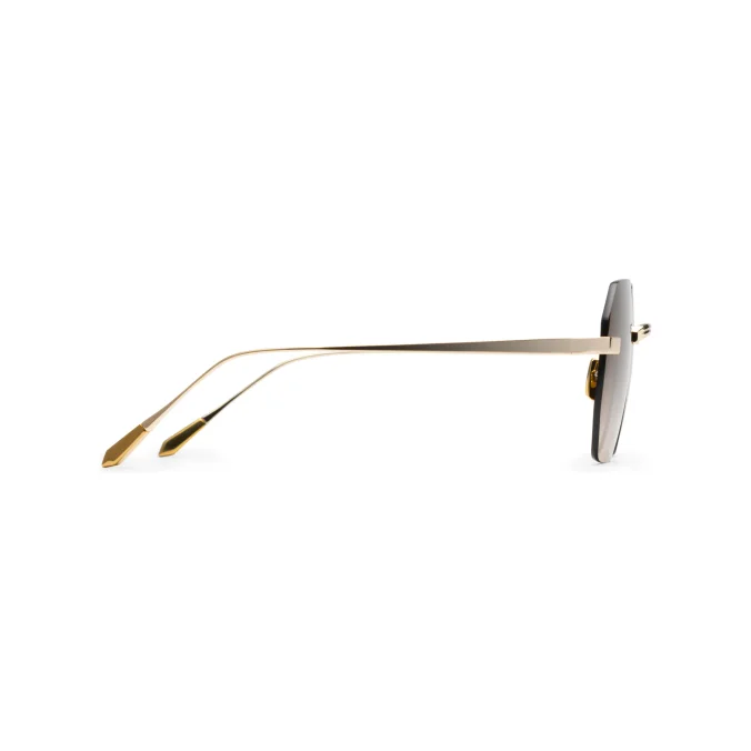 Titanium Gold Frame Brown Lens Sunglasses with Carl Zeiss Vision