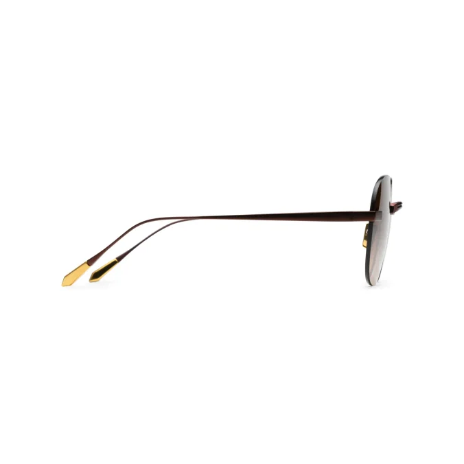 Titanium Brown Frame Brown Lens Sunglasses with Carl Zeiss Vision