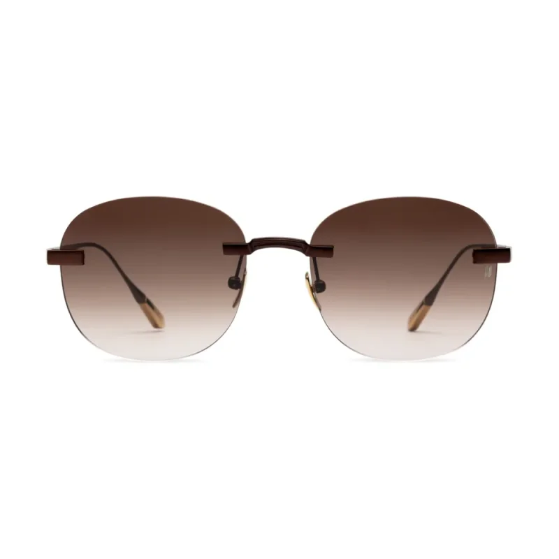 Titanium Brown Frame Brown Lens Sunglasses with Carl Zeiss Vision