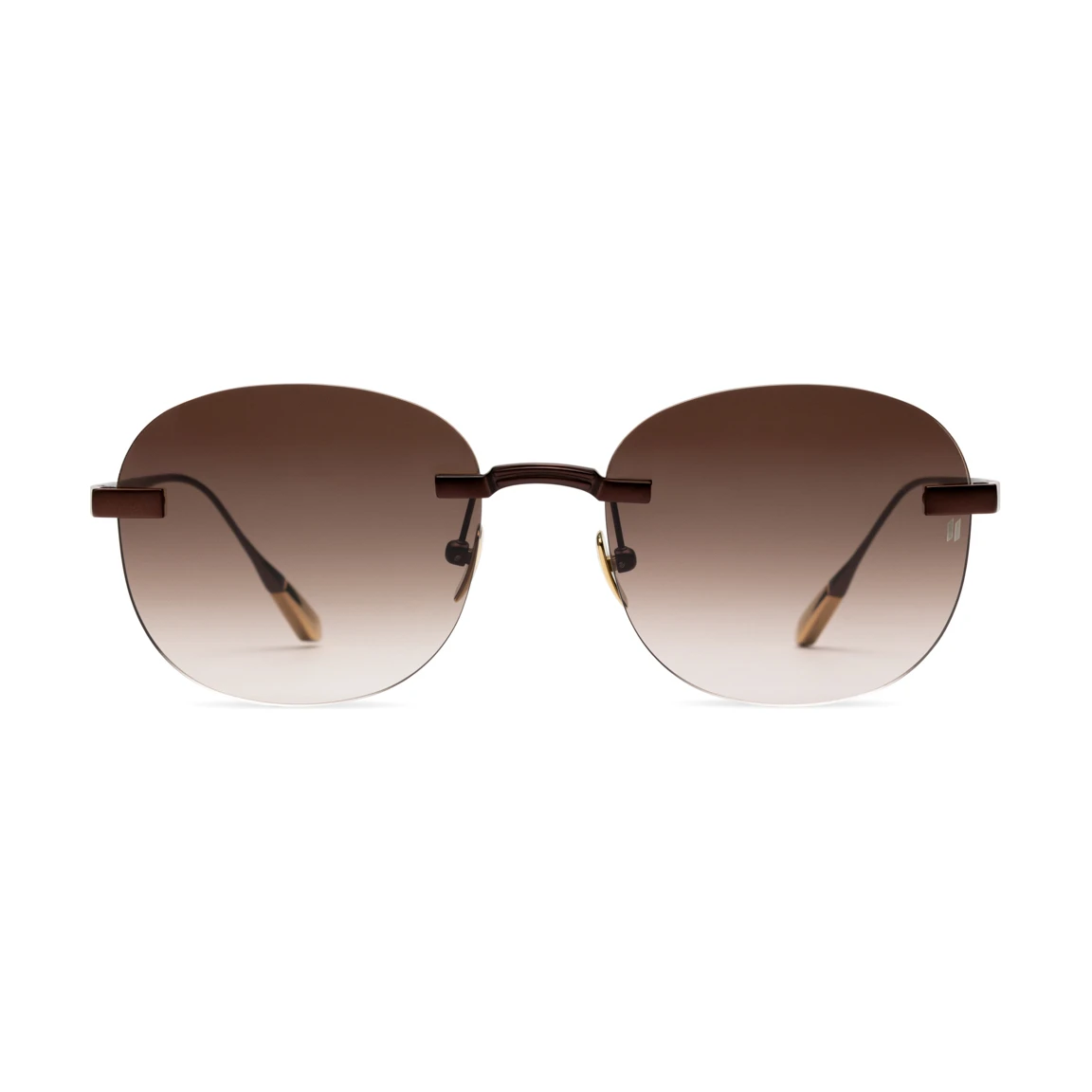 Titanium Brown Frame Brown Lens Sunglasses with Carl Zeiss Vision