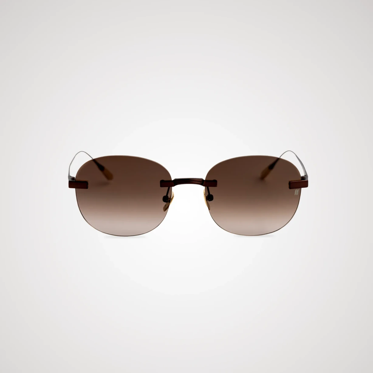 Titanium Brown Frame Brown Lens Sunglasses with Carl Zeiss Vision