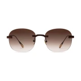 Titanium Brown Frame Brown Lens Sunglasses with Carl Zeiss Vision