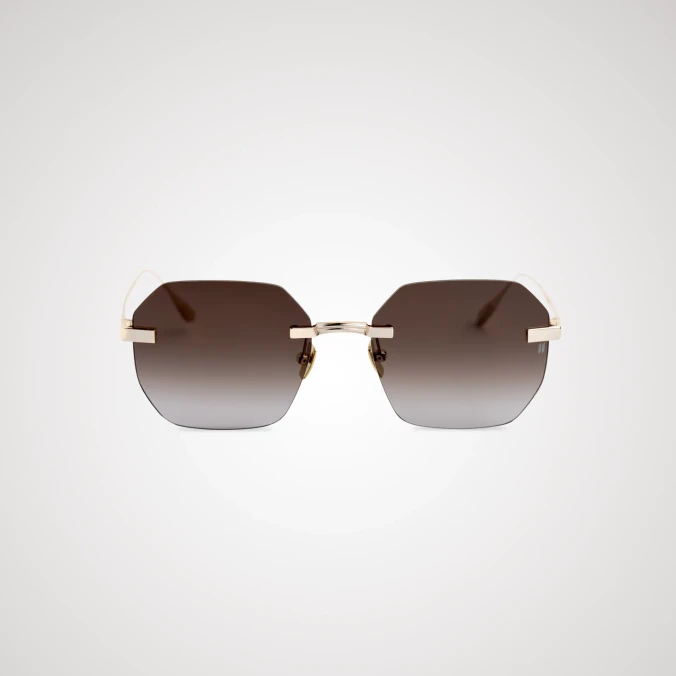 Titanium Gold Frame Brown Lens Sunglasses with Carl Zeiss Vision