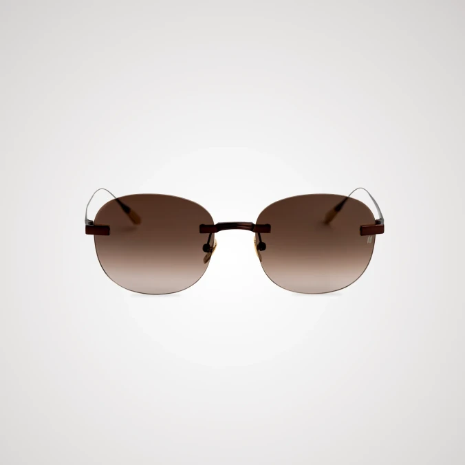 Titanium Brown Frame Brown Lens Sunglasses with Carl Zeiss Vision