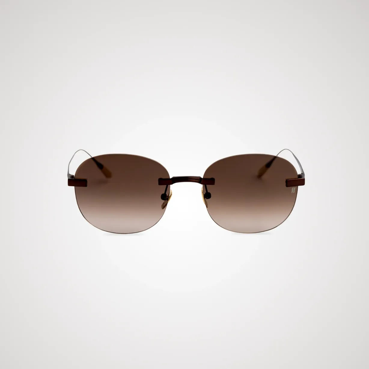Titanium Brown Frame Brown Lens Sunglasses with Carl Zeiss Vision