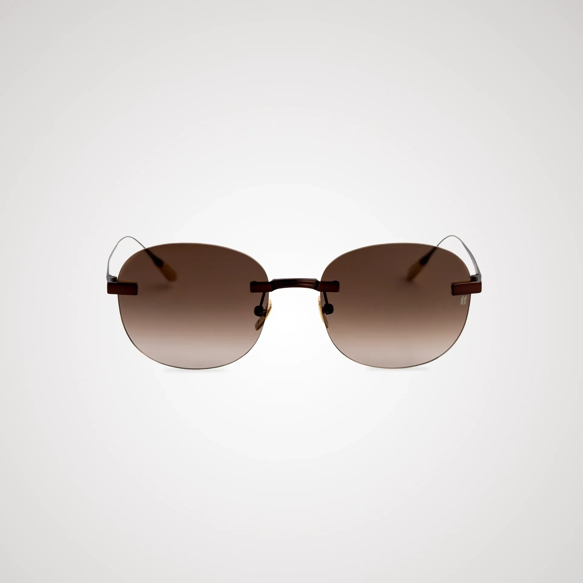 Titanium Brown Frame Brown Lens Sunglasses with Carl Zeiss Vision