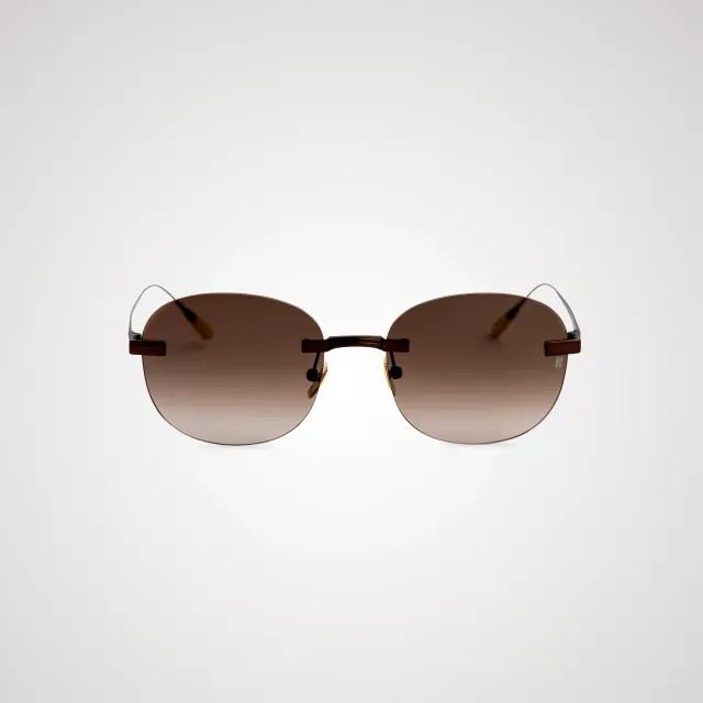 Titanium Brown Frame Brown Lens Sunglasses with Carl Zeiss Vision