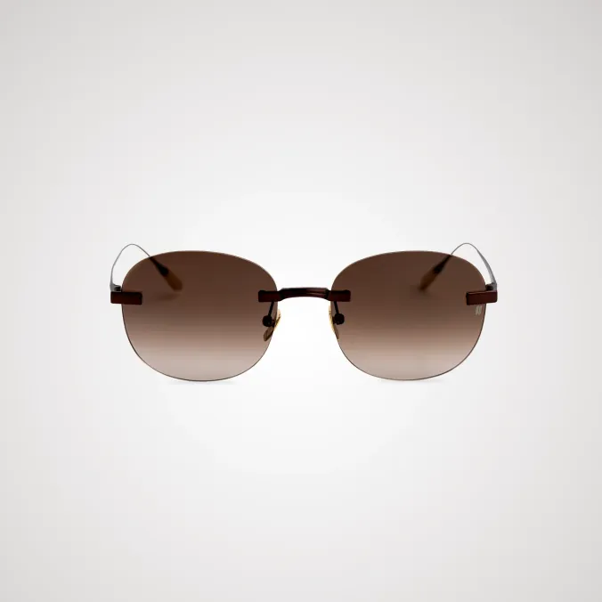 Titanium Brown Frame Brown Lens Sunglasses with Carl Zeiss Vision
