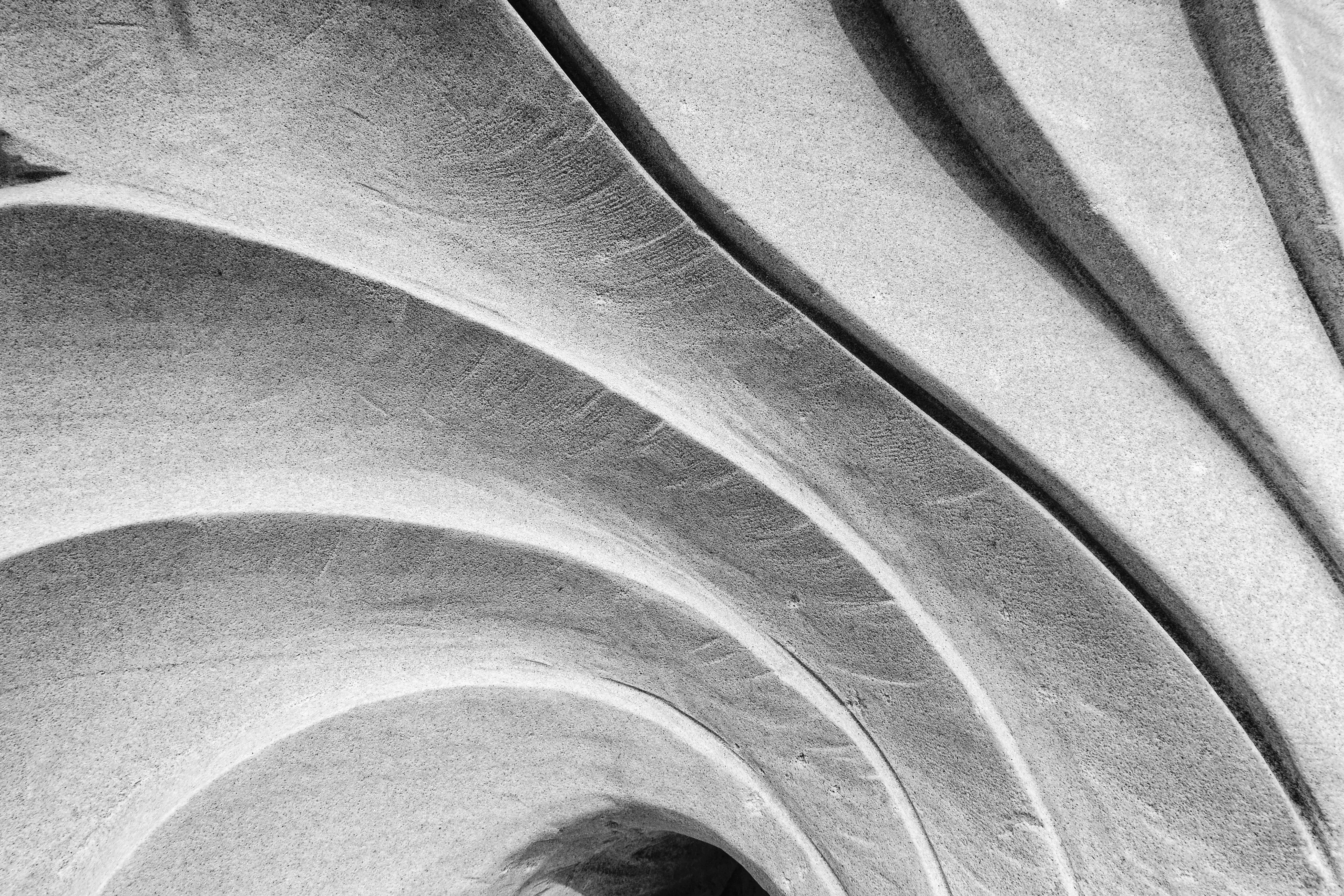 Architectural Balance: A Guide to Frame Geometry and Anatomy